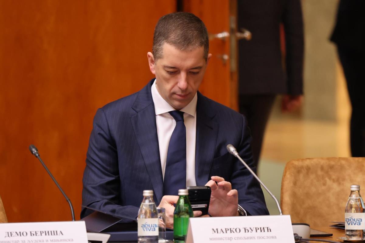 tematska sednica Vlade Aleksandar Vučić (3).jpeg