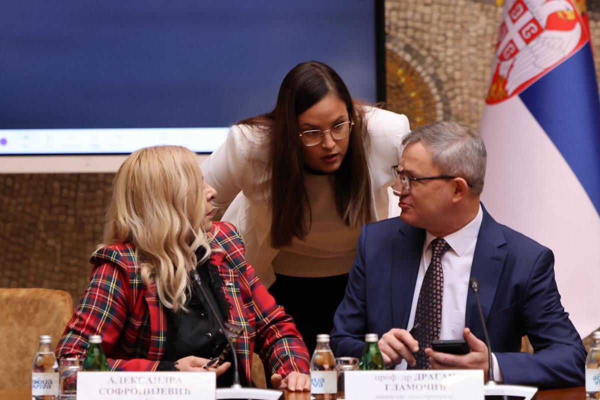 tematska sednica Vlade Aleksandar Vučić (2).jpeg