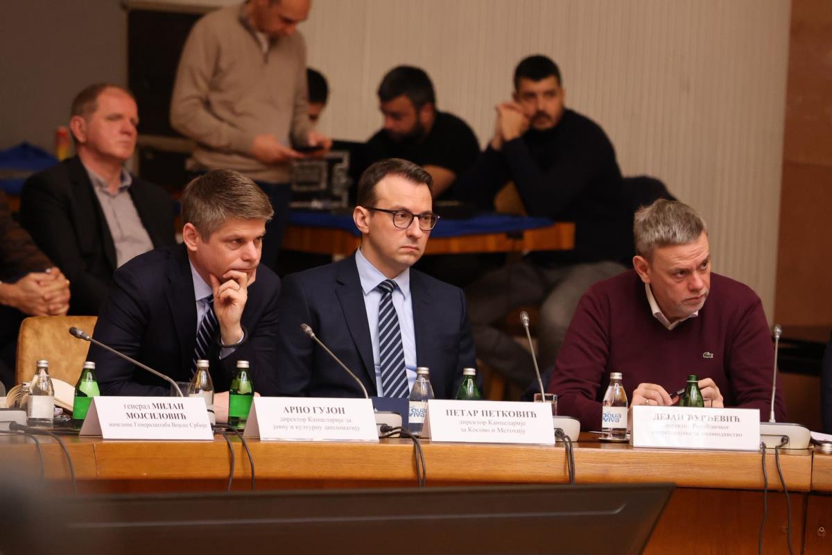 tematska sednica Vlade Aleksandar Vučić (4).jpeg