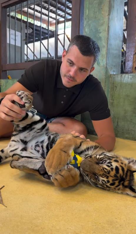 Viktor Živojinović