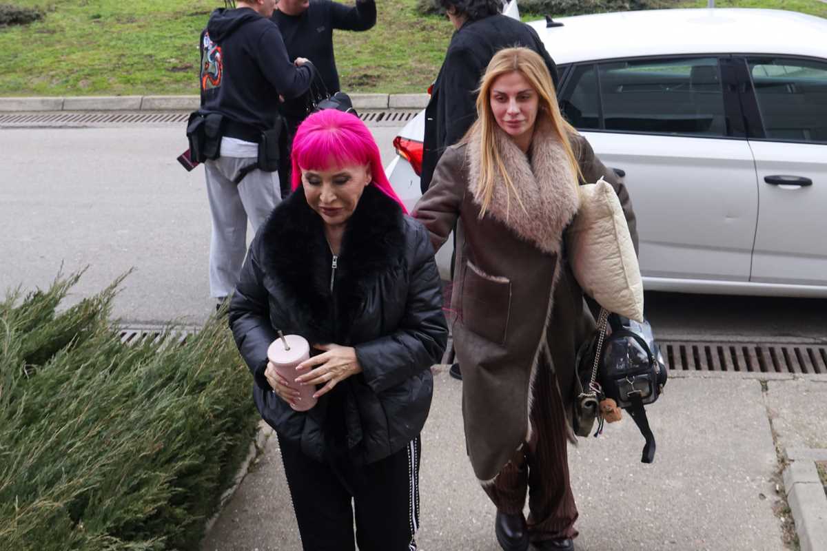 Zorica Brunclik Pinkove zvezde (4).jpeg