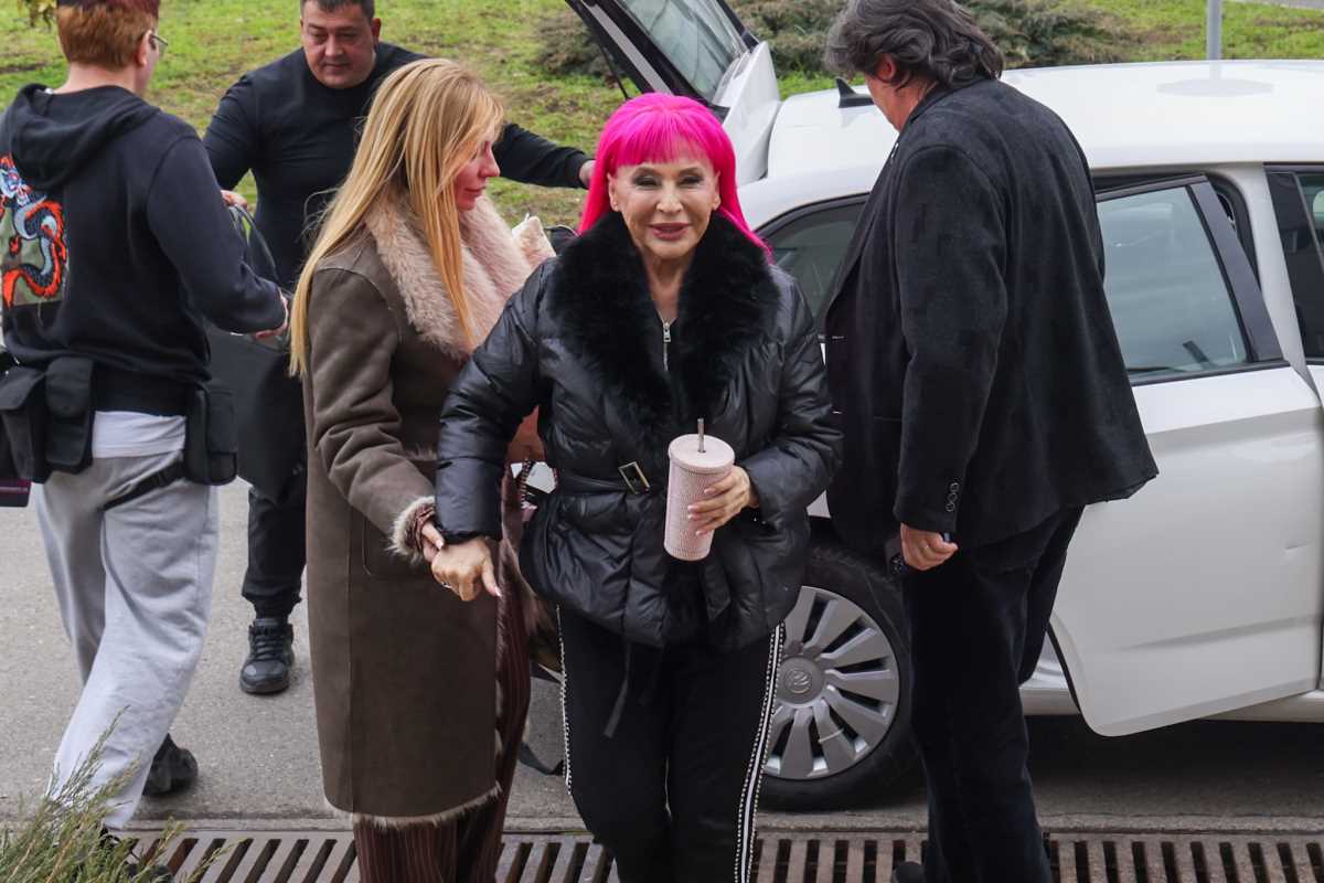 Zorica Brunclik Pinkove zvezde (2).jpeg