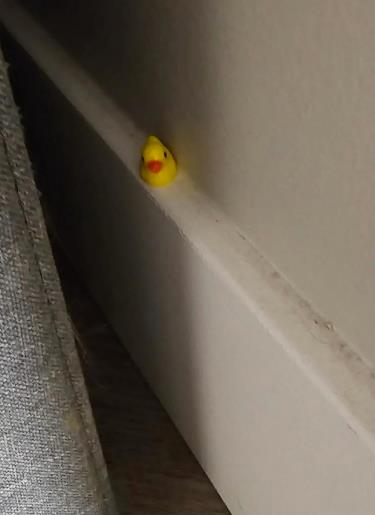 žena sakrila patkice po stanu da testira čistačicu (3).png