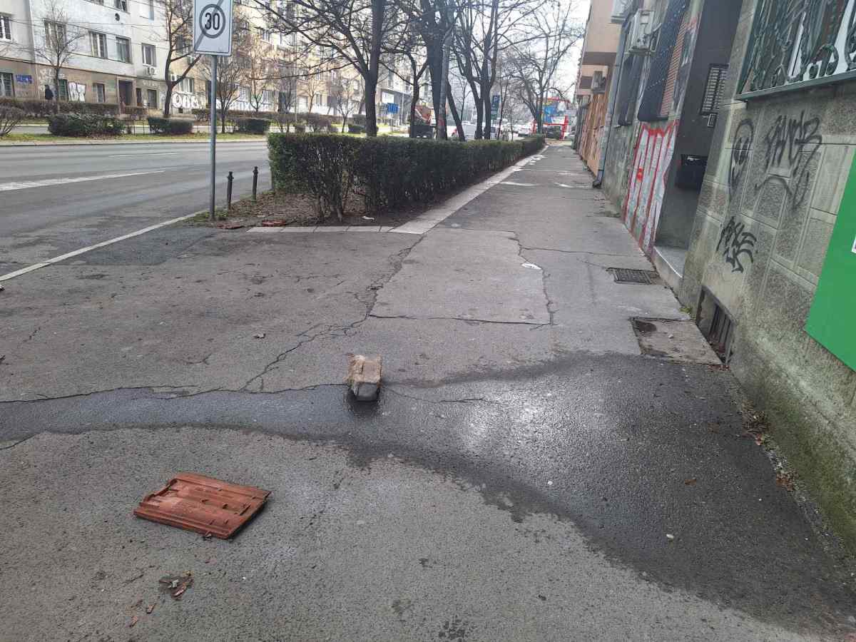 telo devojke, Palilula