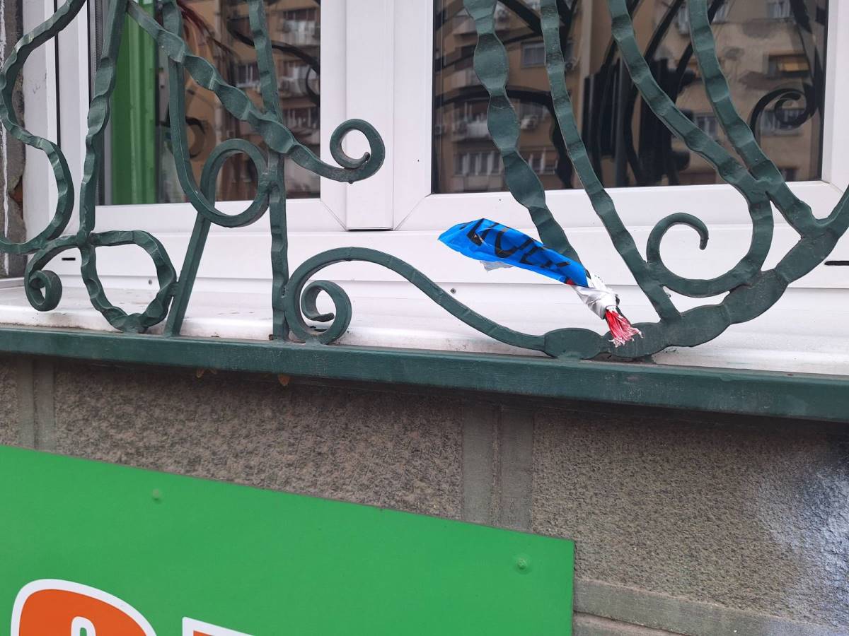 telo devojke, Palilula