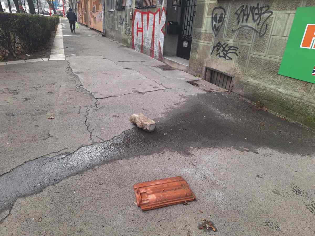 telo devojke, Palilula