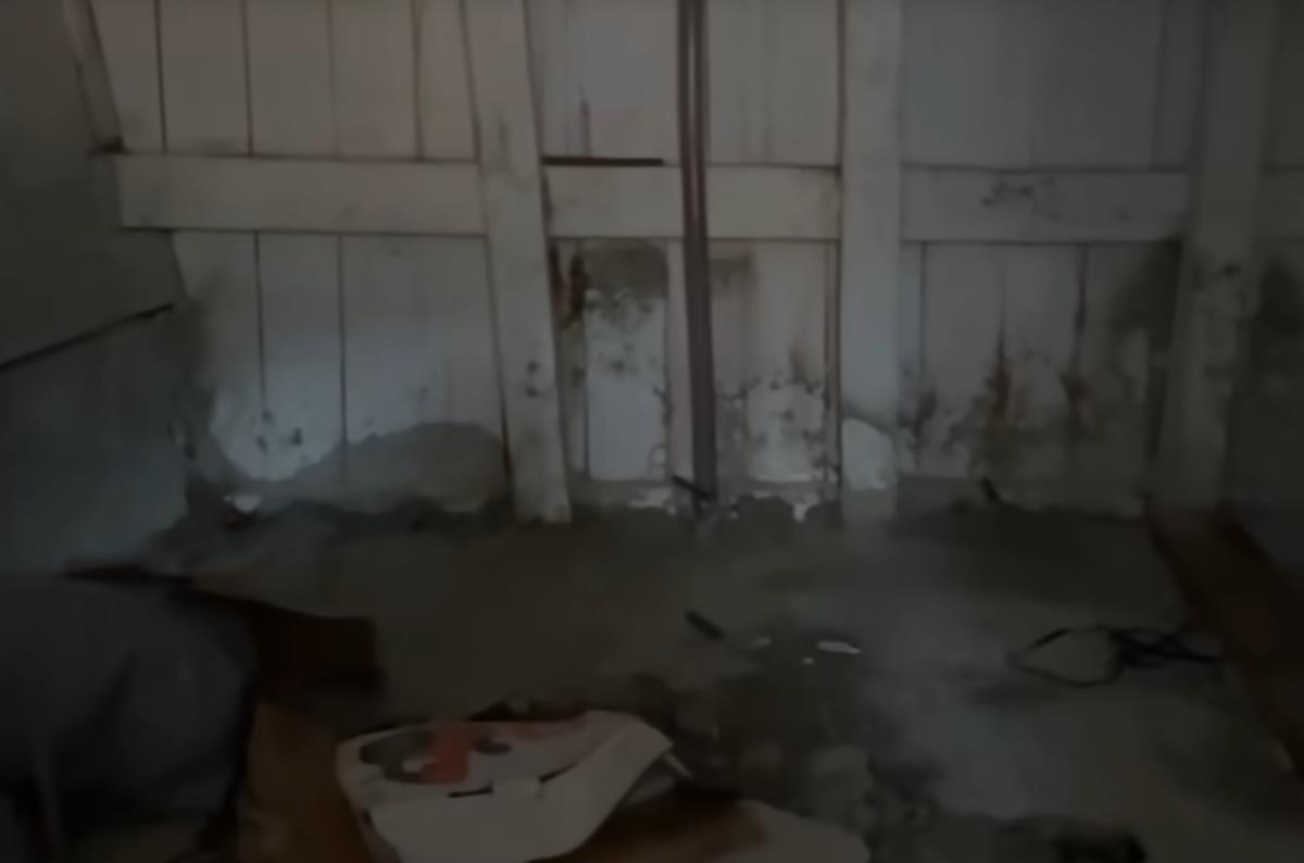 Screenshot 2026-01-27 120531.png