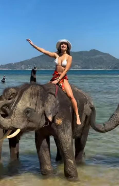 JAHALA SLONA, PA ZAVRŠILA ISPRSKANA DO GOLE KOŽE Anđela Đuričić podelila urnebesan snimak (FOTO)