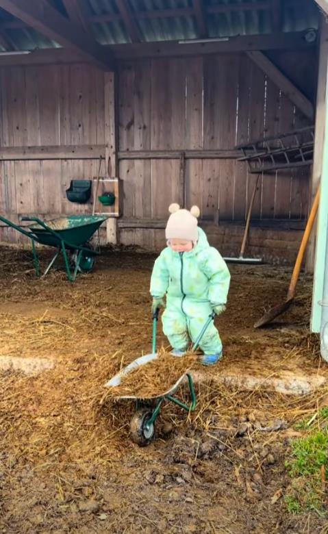 Screenshot 2026-01-28 104706.png