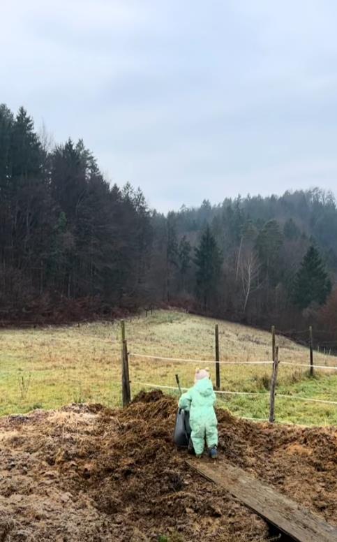 Screenshot 2026-01-28 104719.png