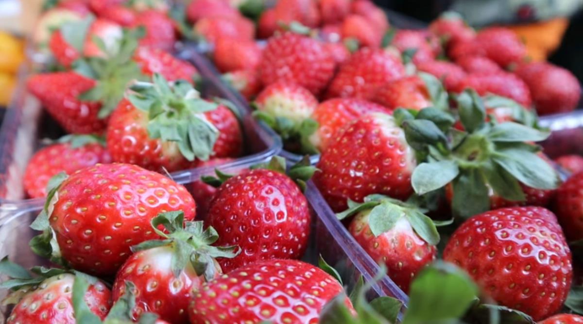 Screenshot 2026-01-28 123307.png