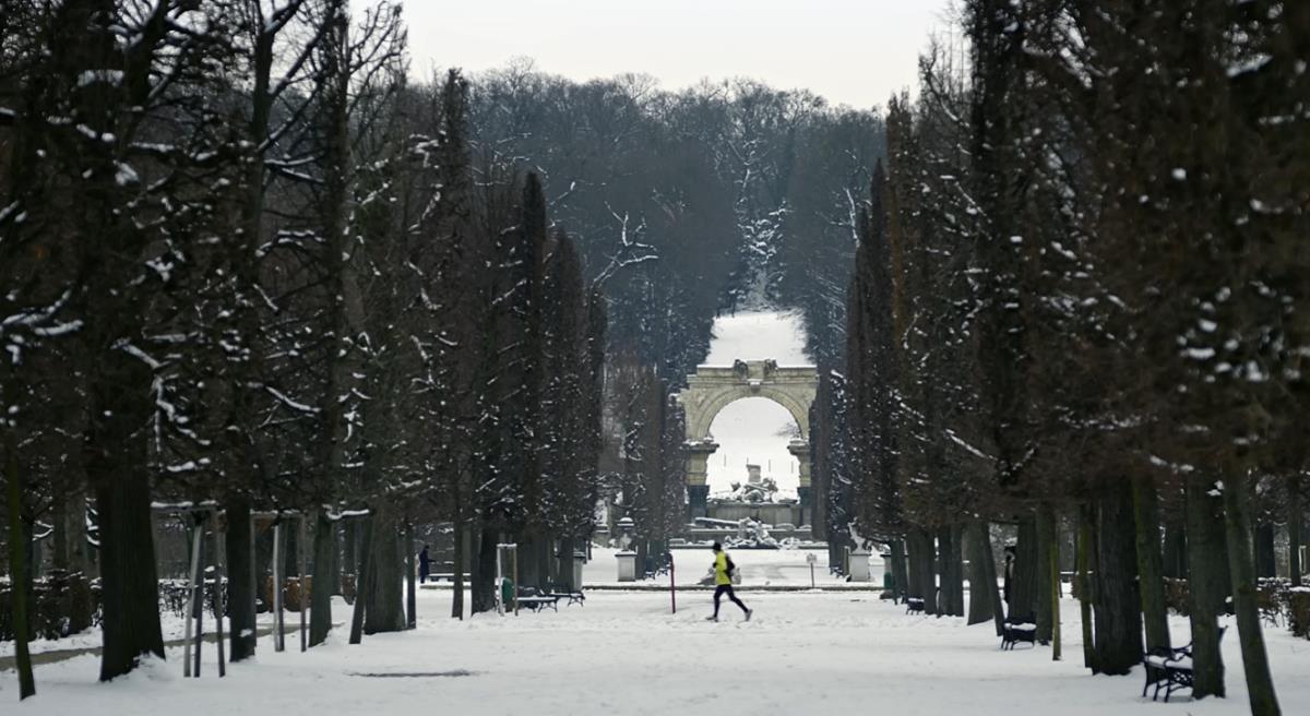 Screenshot 2026-01-23 130139.png