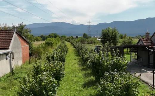 Ovo je bogatstvo Alena Islamovića