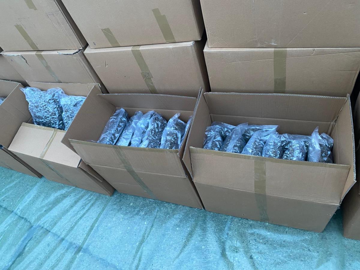 WhatsApp Image 2026-01-29 at 16.56.13.jpeg