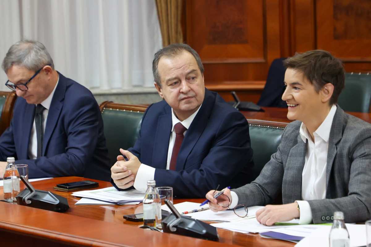 WhatsApp Image 2026-01-30 at 10.18.56 (2).jpeg