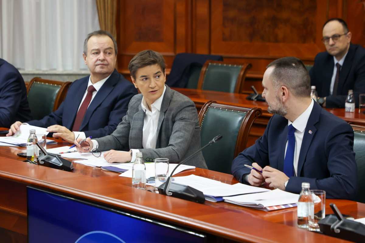 WhatsApp Image 2026-01-30 at 10.18.56 (1).jpeg