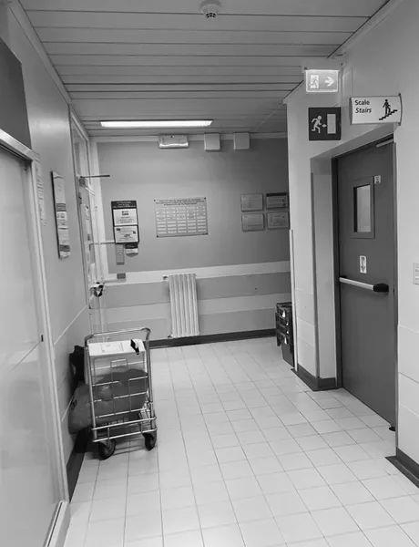 WhatsApp Image 2026-01-31 at 14.55.28 (2).jpeg