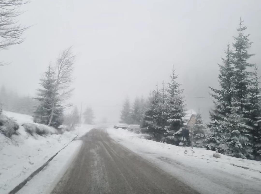 Mitrovac na Tari - sneg.jpg