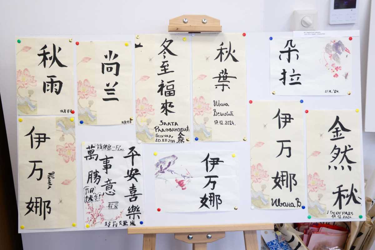 WhatsApp Image 2026-02-02 at 09.55.57 (1).jpeg