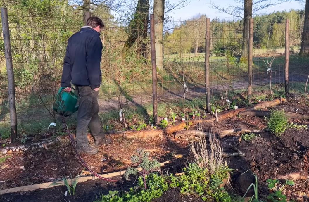 Andres Bojzen u bašti.jpg