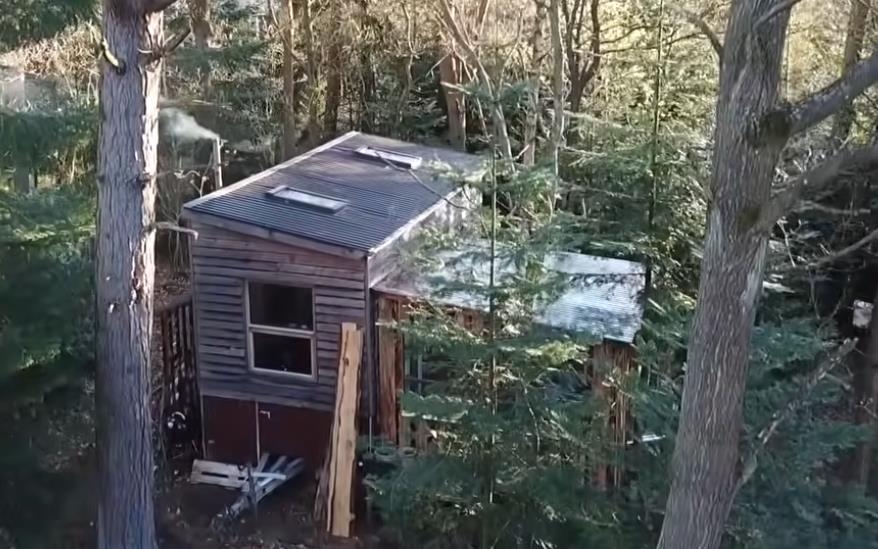 Kuća u šumi Andresa Bojzena