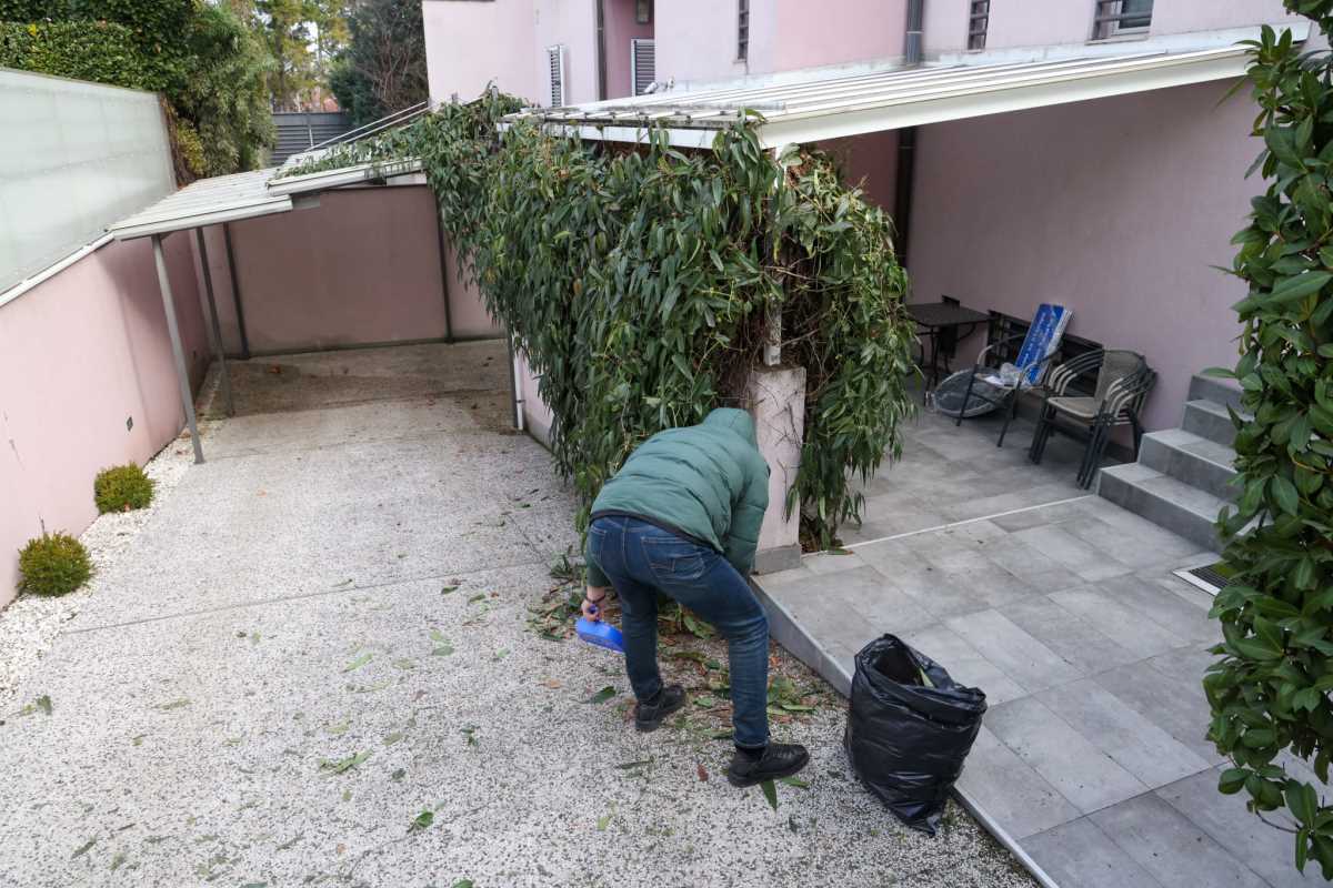 Zdravko Čolić bačena bomba vila Dedinje (13).jpeg