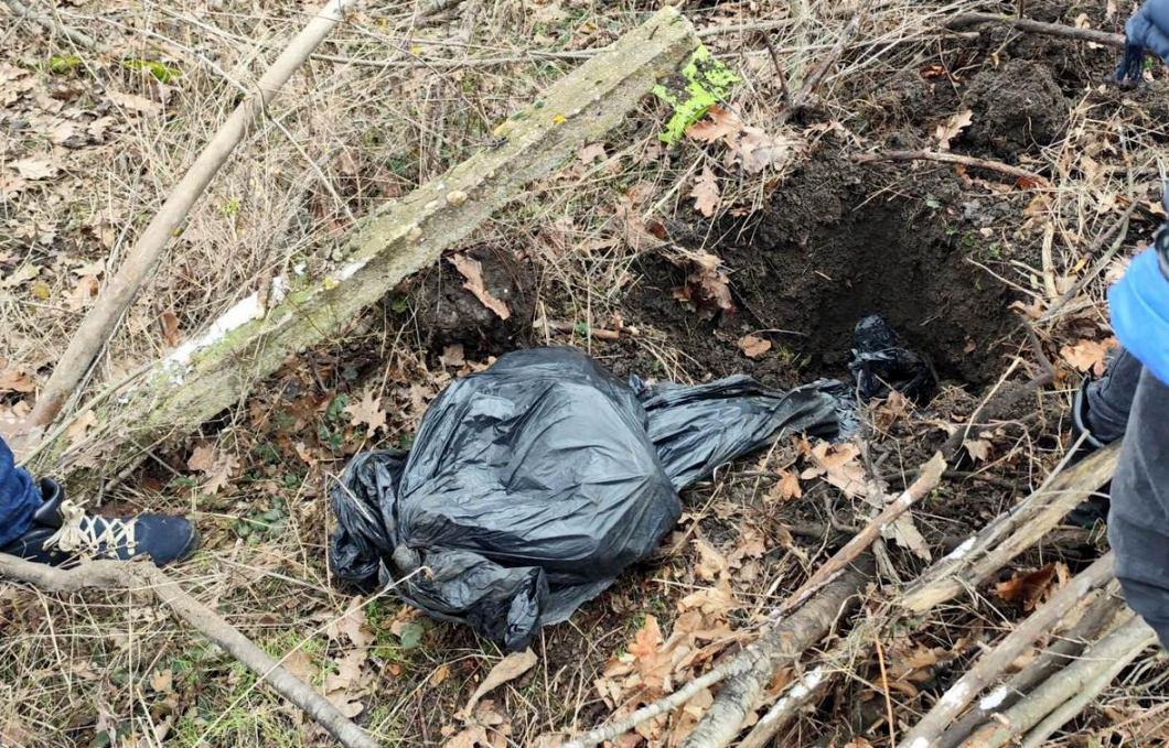 WhatsApp Image 2026-02-03 at 16.02.17.jpeg