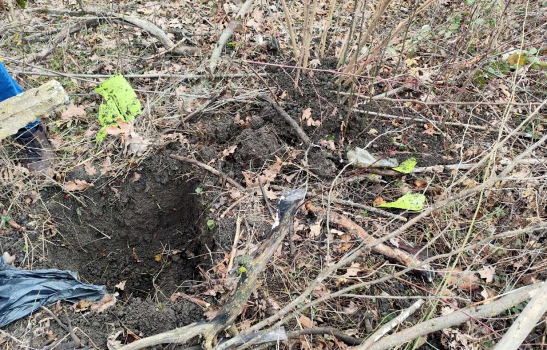 WhatsApp Image 2026-02-03 at 16.02.16 (3).jpeg