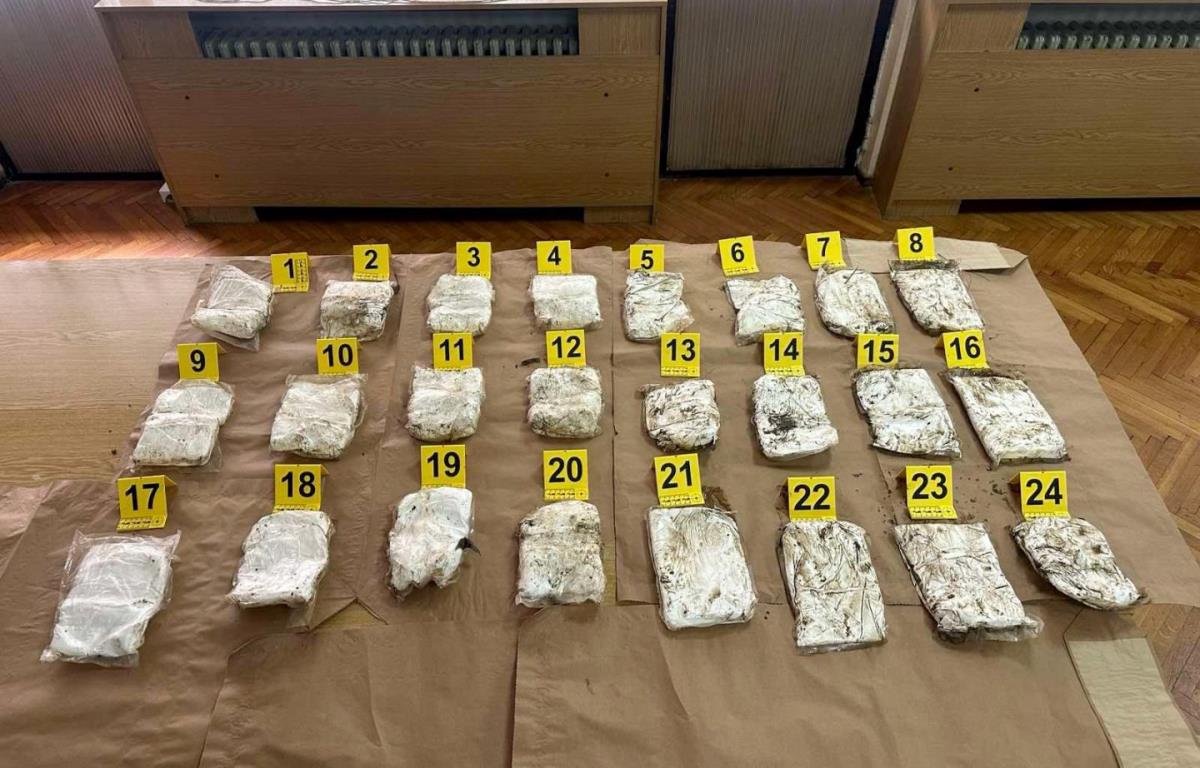 WhatsApp Image 2026-02-03 at 16.02.16.jpeg