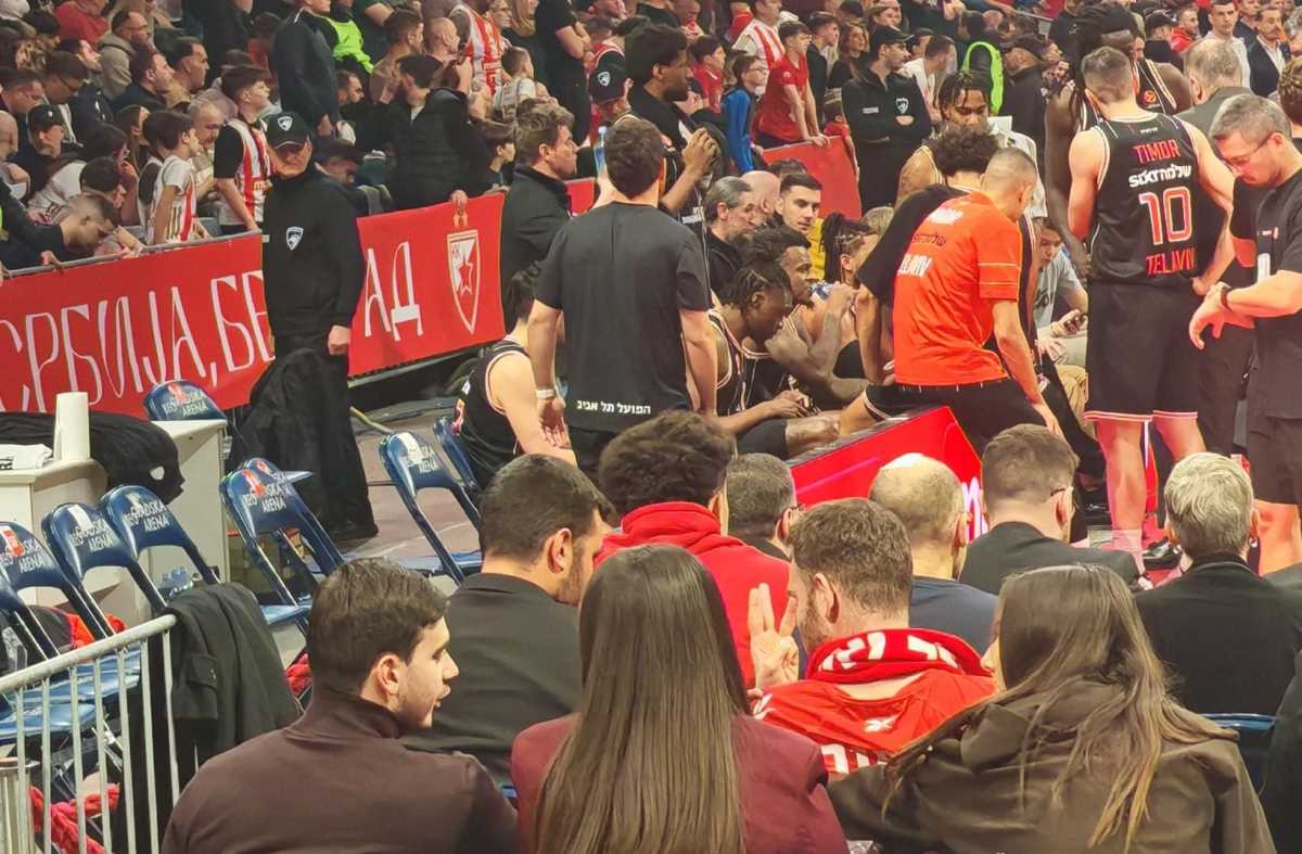 WhatsApp Image 2026-02-03 at 20.18.14 (1).jpeg