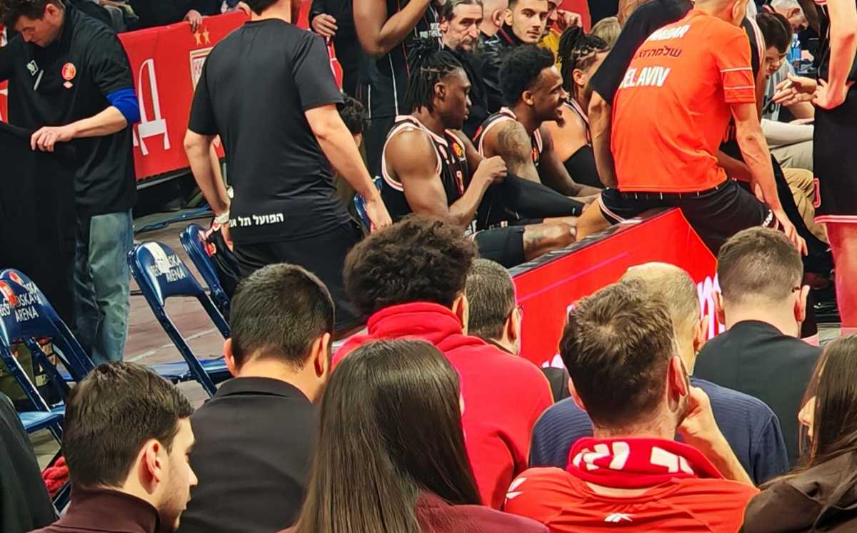 WhatsApp Image 2026-02-03 at 20.18.14.jpeg