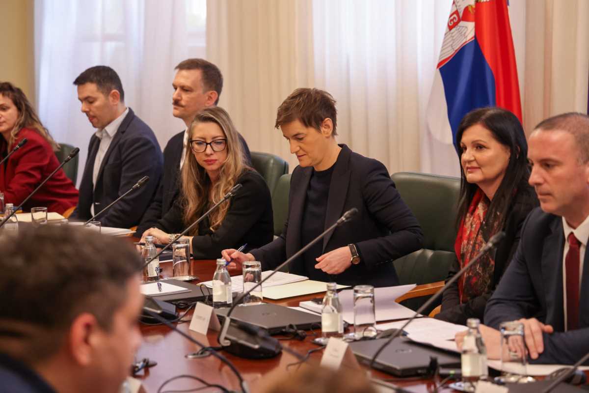 Ana Brnabić (12).jpeg