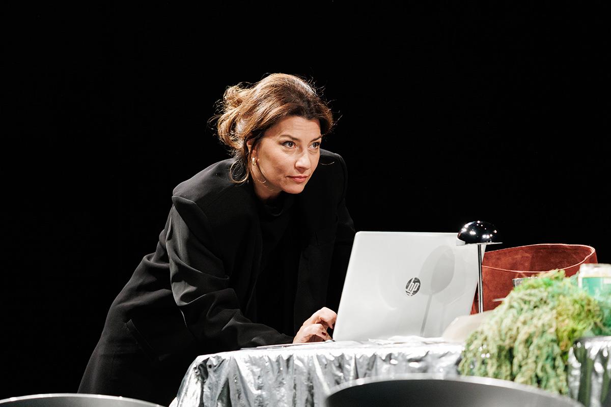 predstava Privatna proslava (1).JPG