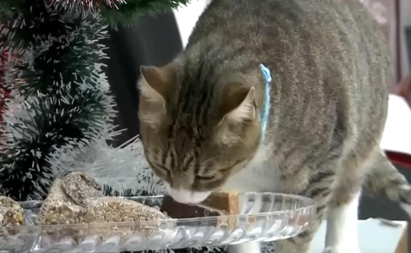 Screenshot 2026-02-05 105147.jpg