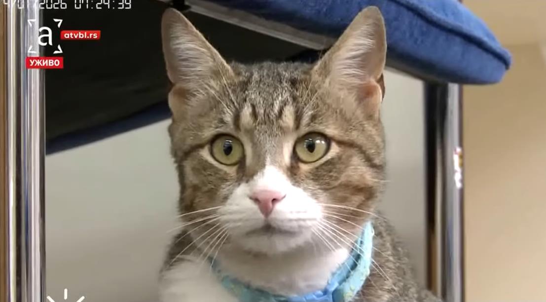 Screenshot 2026-02-05 105235.png