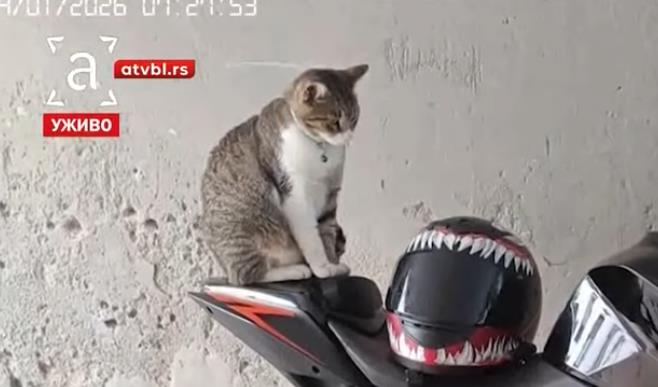 Screenshot 2026-02-05 105343.png