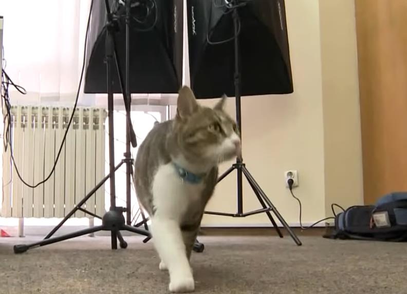 Screenshot 2026-02-05 105405.png