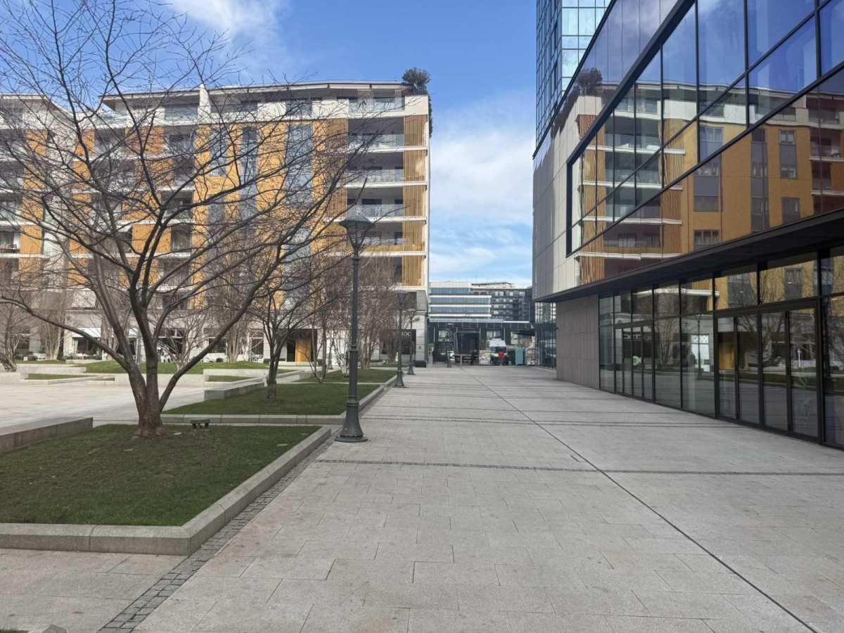 Milica Todoorvić (6).jpg