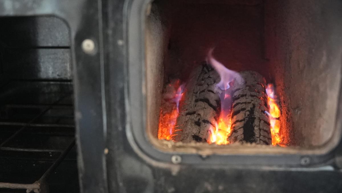 Jelena Žarić Kovačević (15).jpg