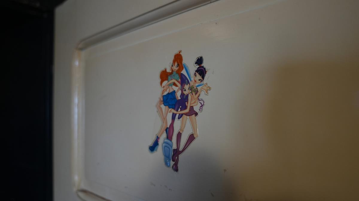 Jelena Žarić Kovačević (4).jpg