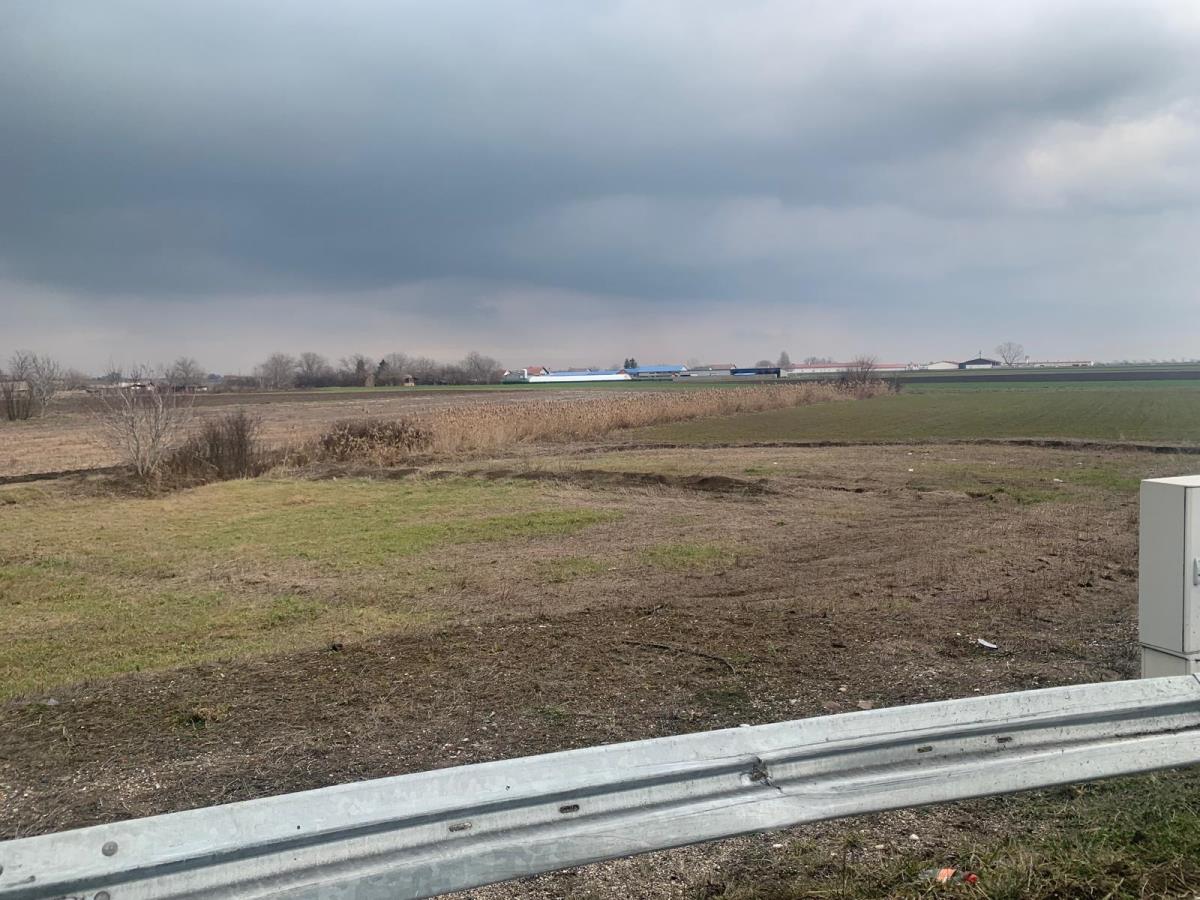 WhatsApp Image 2026-02-08 at 12.51.45.jpeg