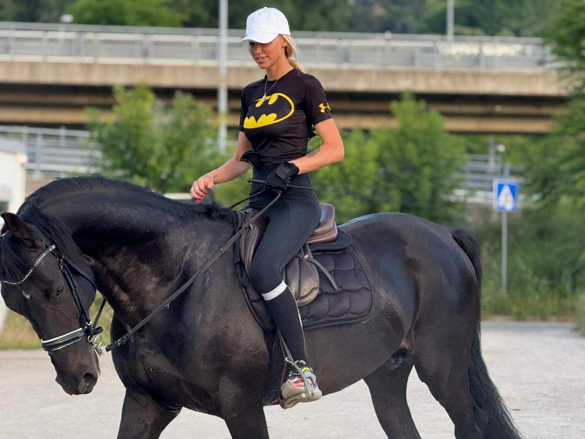 WhatsApp Image 2026-02-10 at 13.13.26 (3).jpeg