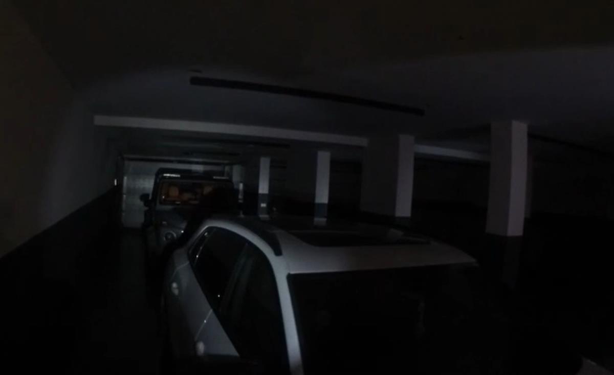 Radoje Zvicer (8).png