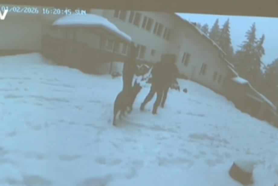 Screenshot 2026-02-10 220010.png