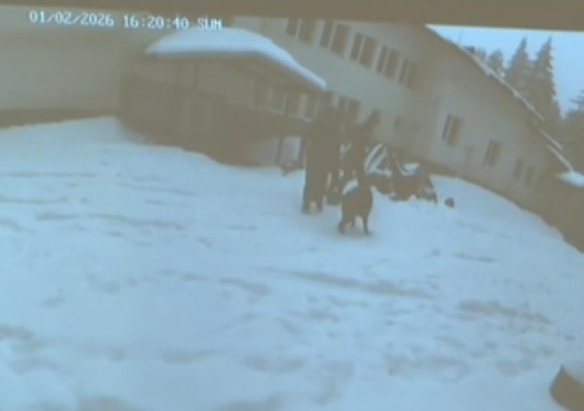 Screenshot 2026-02-10 220005.png