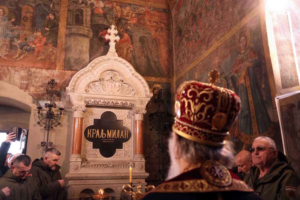 WhatsApp Image 2026-02-11 at 3.48.35 PM (3).jpeg