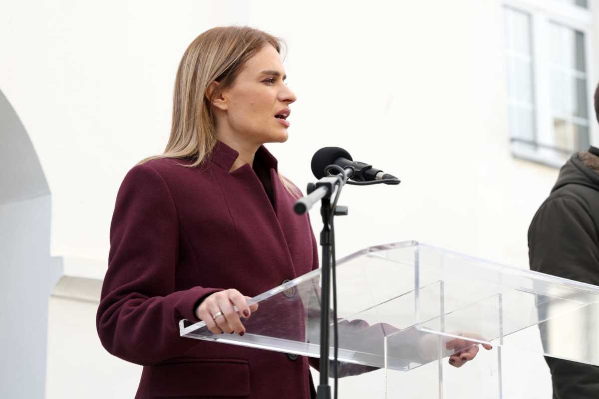 WhatsApp Image 2026-02-11 at 3.48.35 PM (2).jpeg