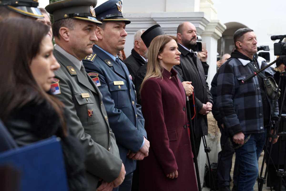 WhatsApp Image 2026-02-11 at 3.48.34 PM (3).jpeg