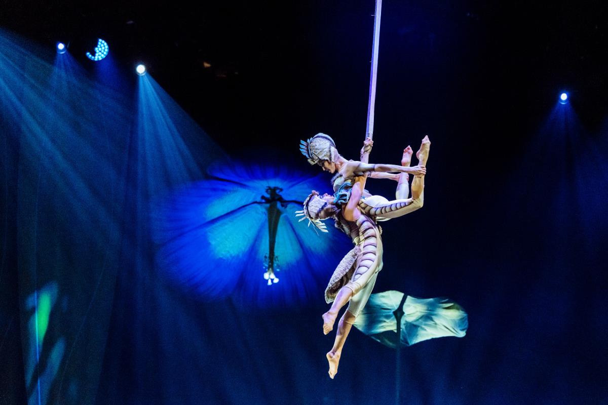 OVO_20-12 _MA73531HR.jpg