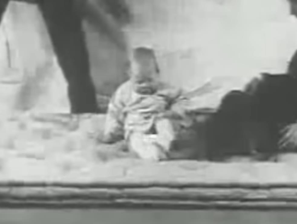 Snimak psihološkog eksperimenta „Mali Albert“ iz 1920. godine u kojem je beba uslovljavana da se plaši belog pacova (4).png